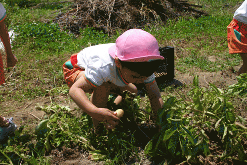 IMG_8052.gif