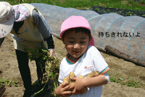 IMG_8062.gif