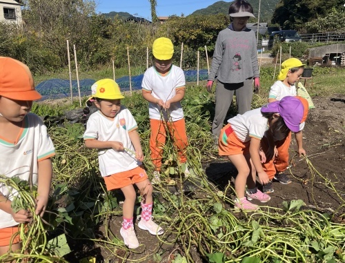 1762329703997~2 (1).jpg